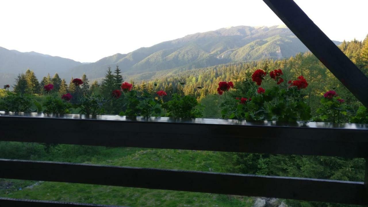 Nature House Предял Экстерьер фото