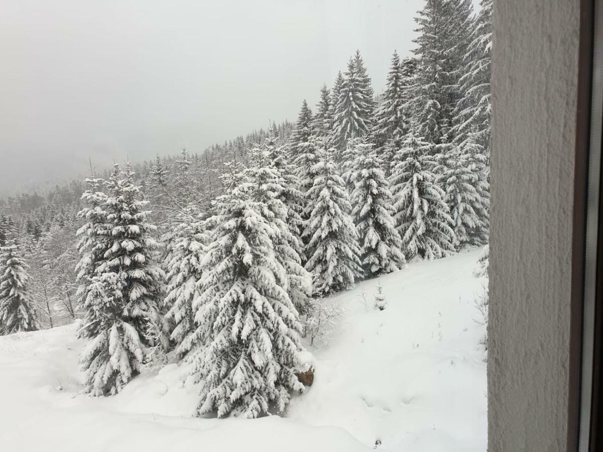 Nature House Предял Экстерьер фото